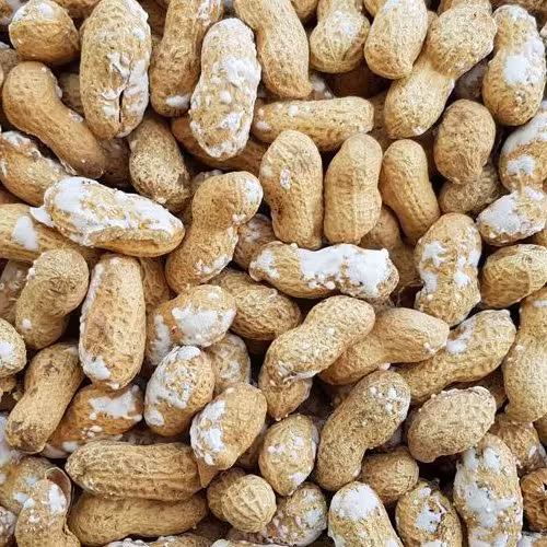 بادام زمینی غلافدار نمکی تازه و درشت ارسال رایگان