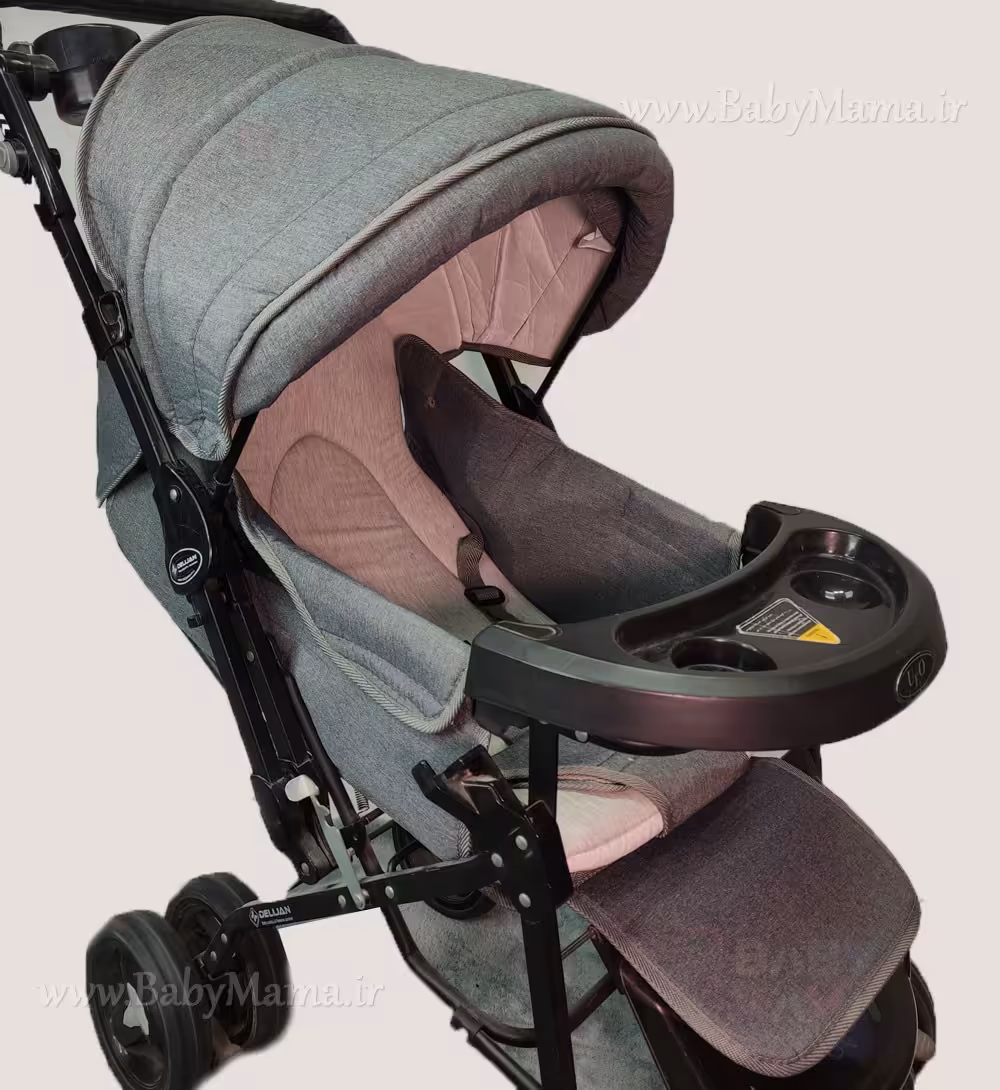 کالسکه تک دلیجان مدل پرشیا