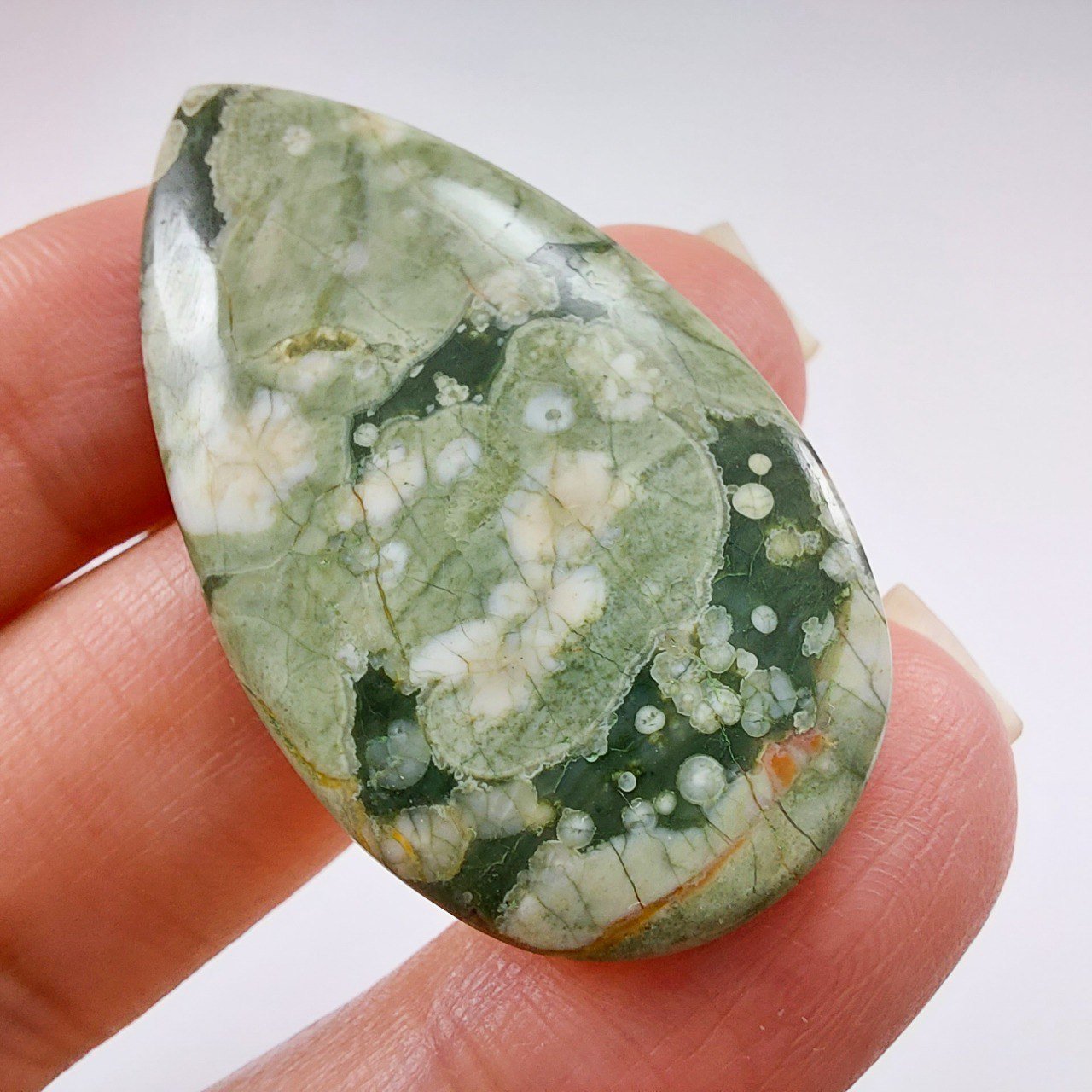 ریولایت یا جنگل بارانی یا Rain 