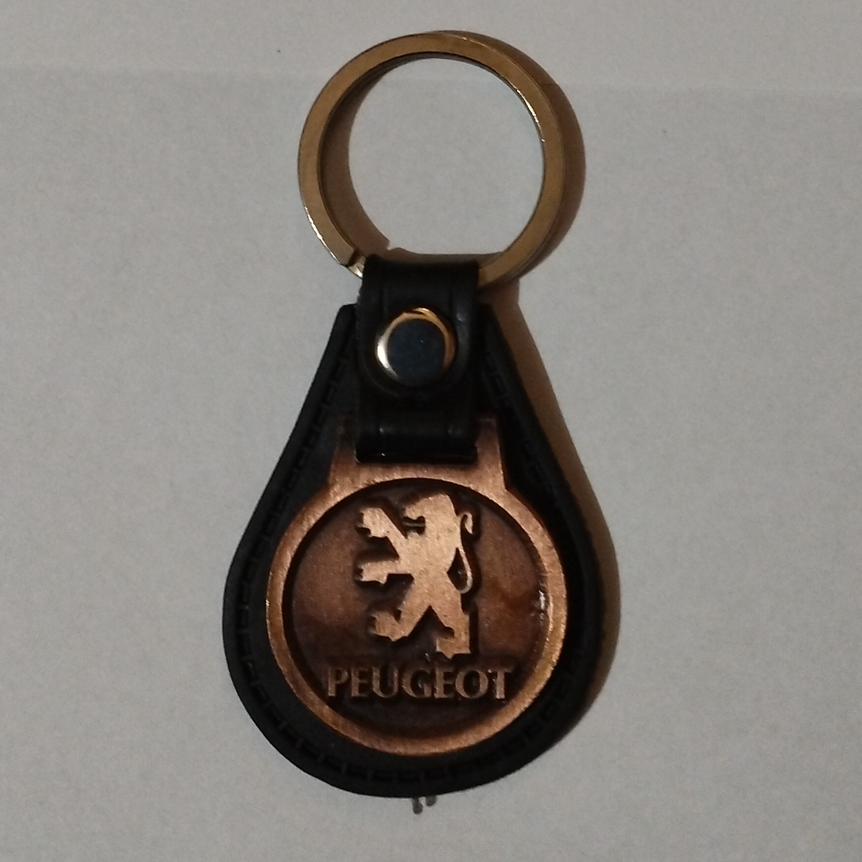 جا کلیدی ماشین طرح پژو