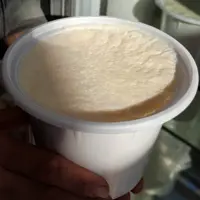 ماست طبیعی گاومیش 600 گرم