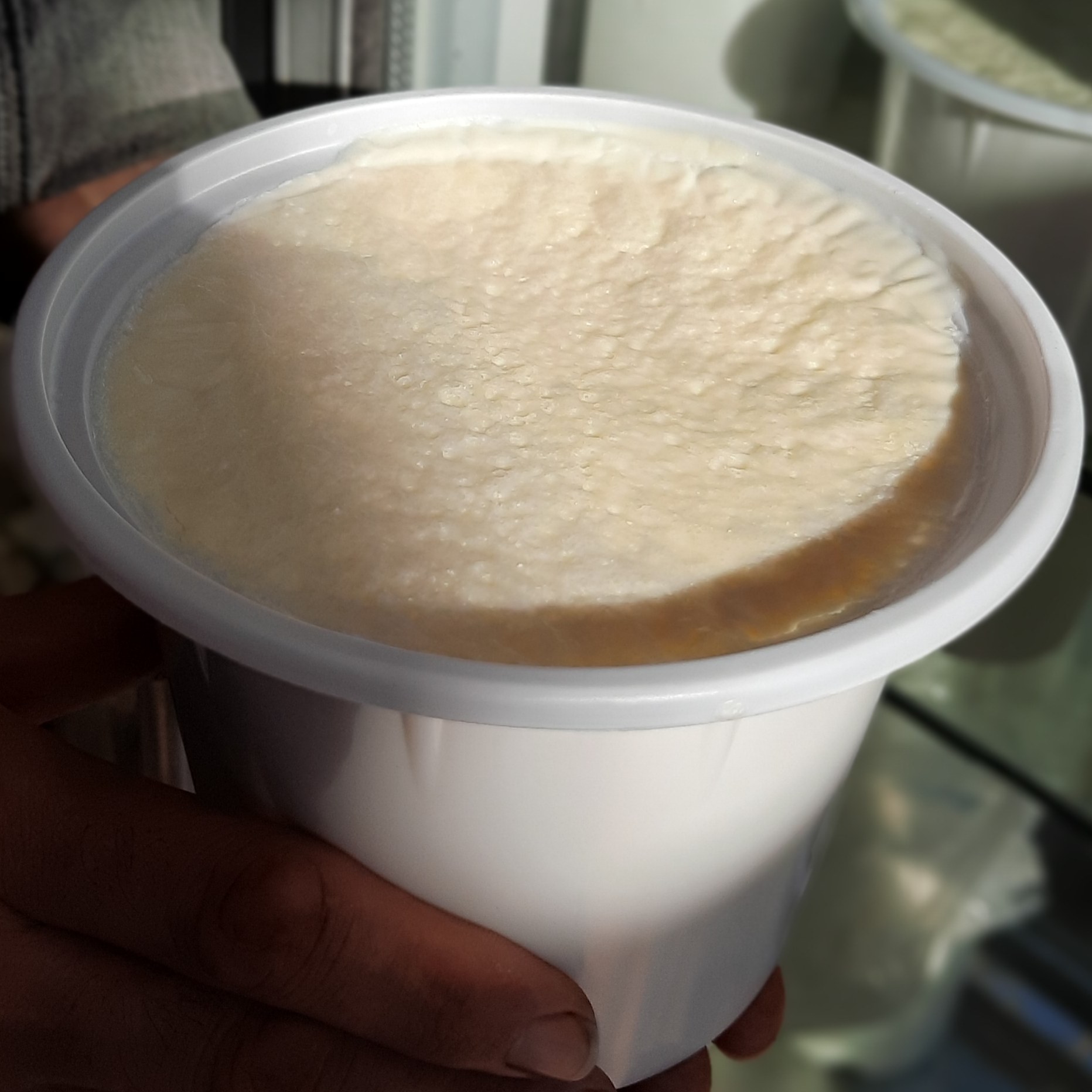 ماست طبیعی گاومیش 600 گرم