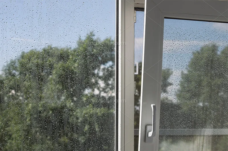 عکس پنجره با درخت | گرافیک با طعم تربچه