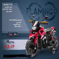 موتور شارژی فلامینگو flamingo مدل  DLS-09