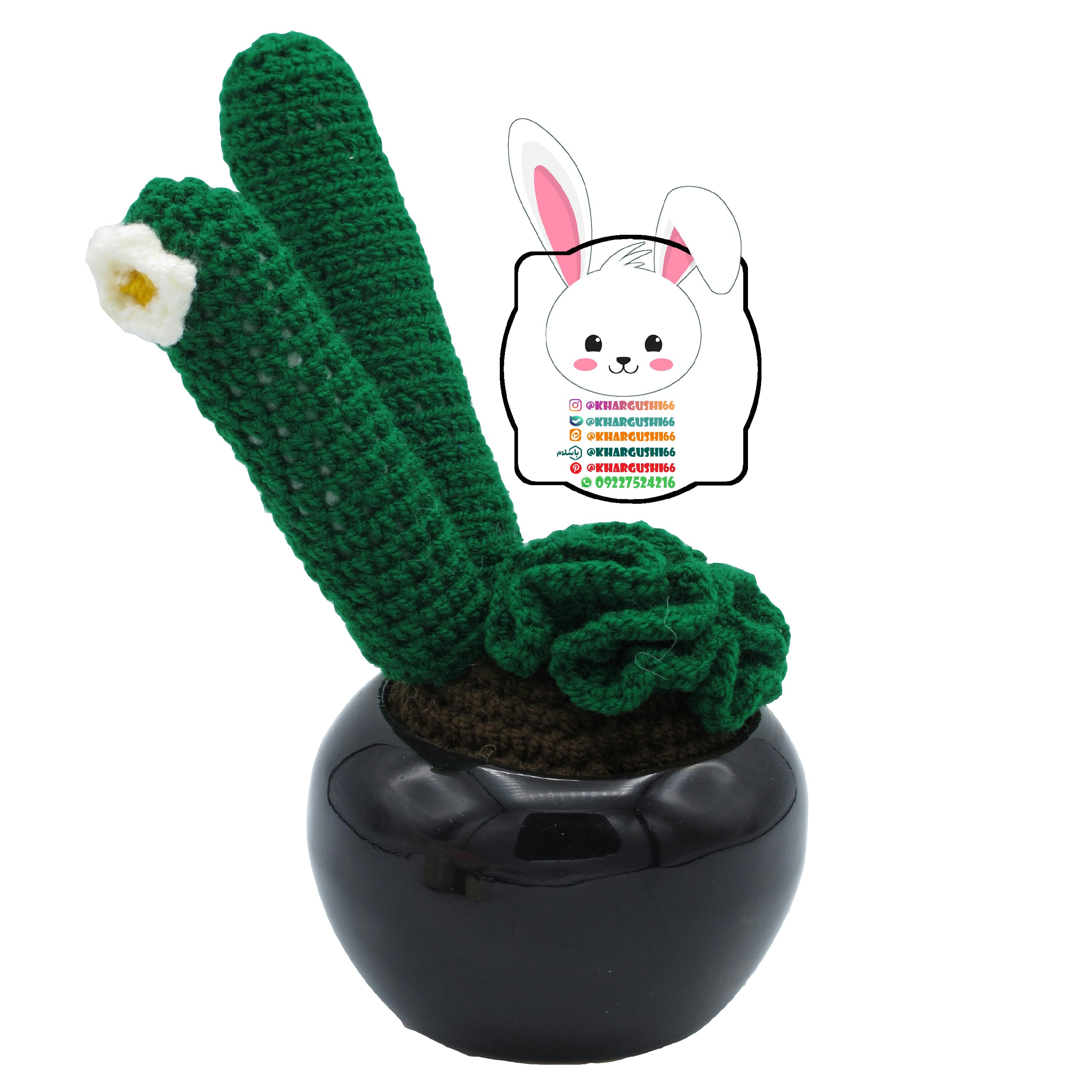 گلدان کاکتوس انگشتی