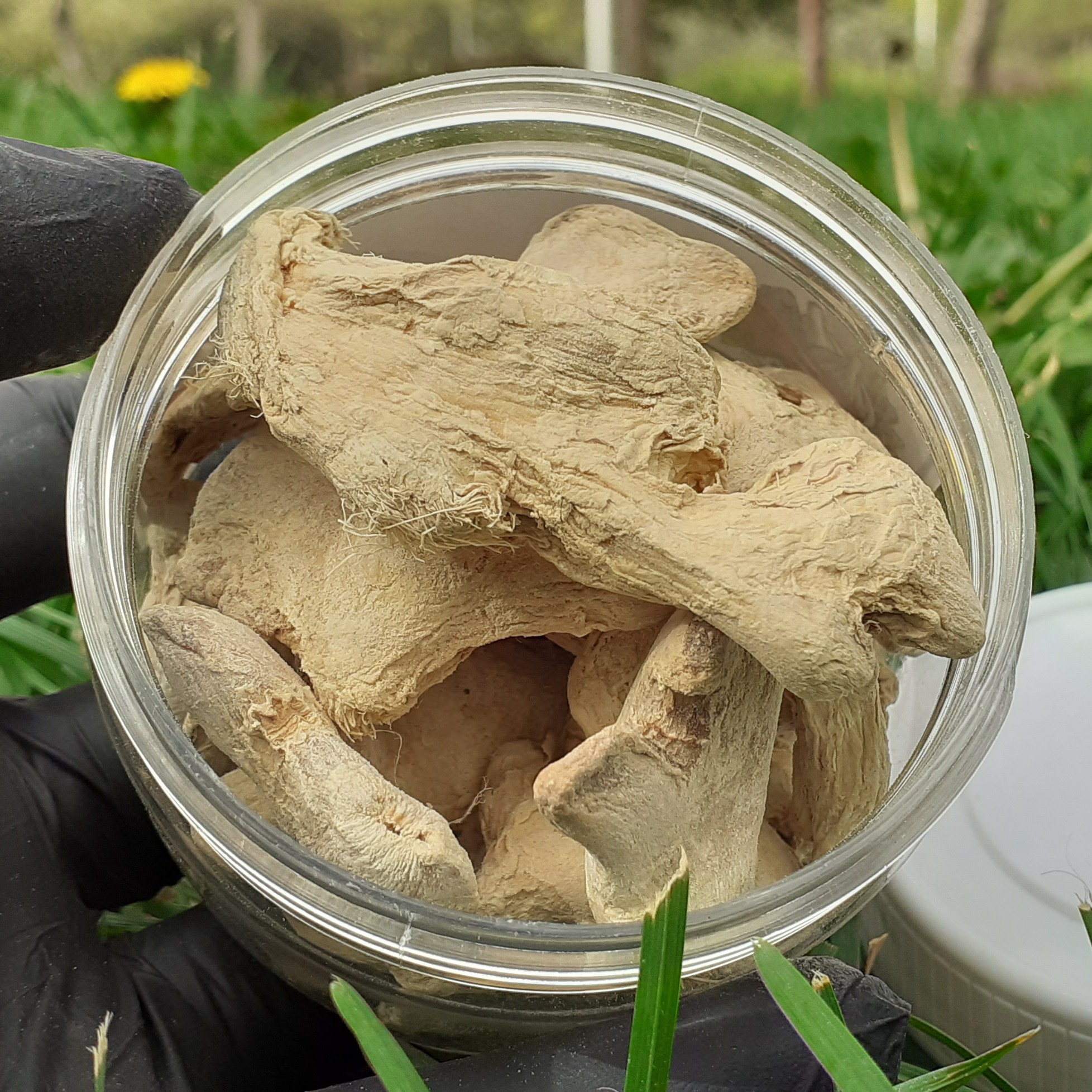 زنجفیل قلم نسابیده 250 گرمی 