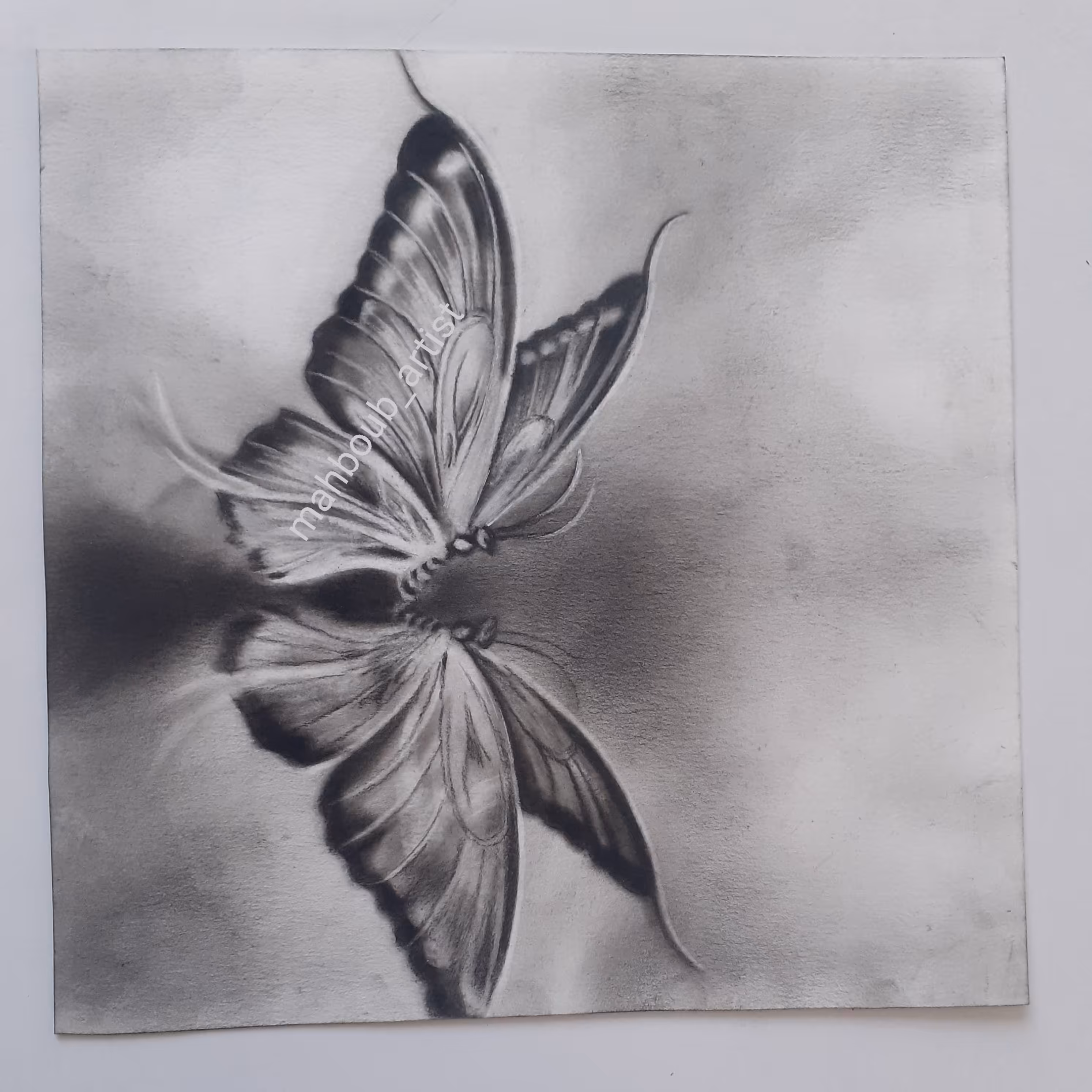 نقاشی پر وانه