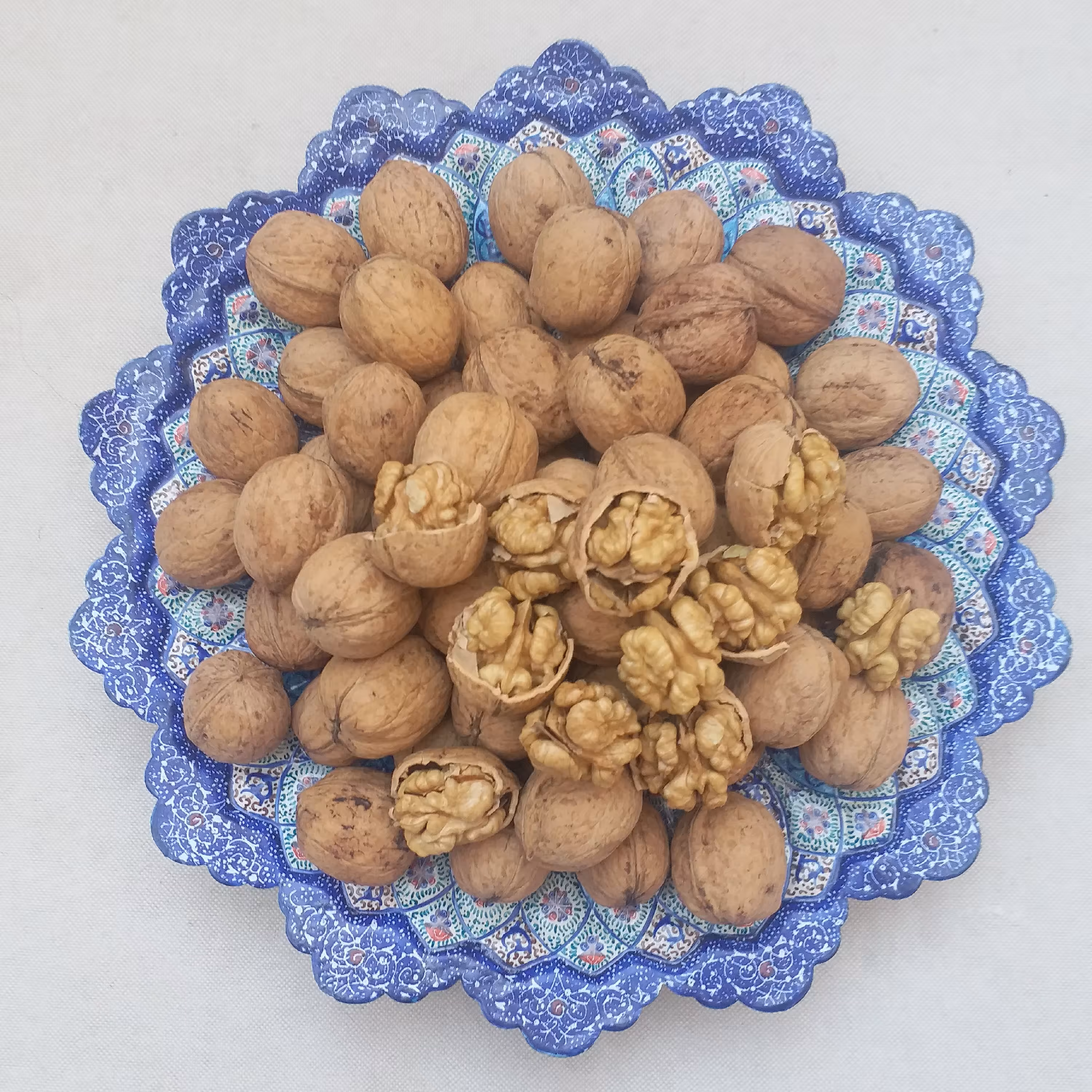 گردو یک کیلویی مراغه سال 1401