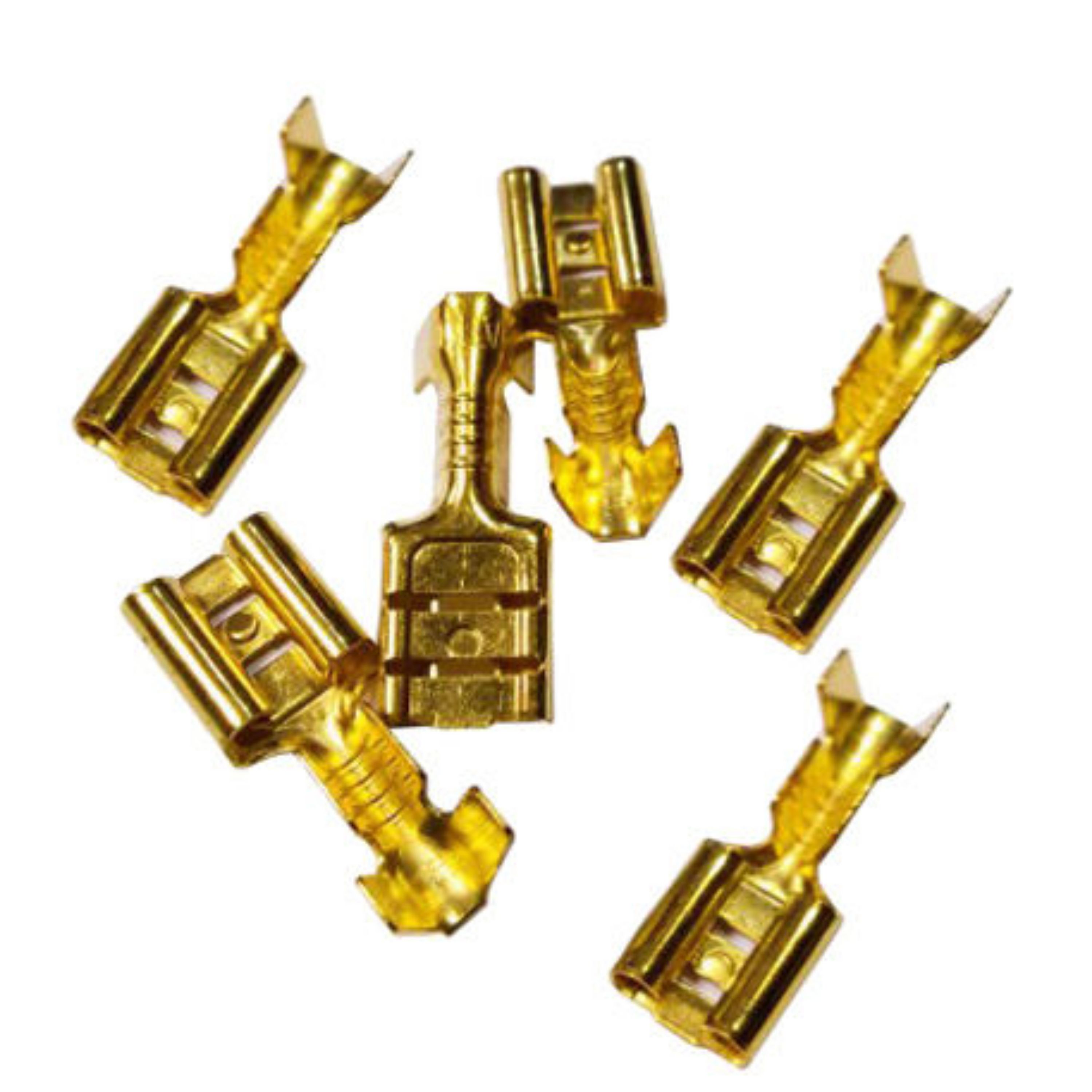 فیش کولری (کتابی) بسته 6 عددی