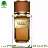 عطر ادکلن دولچه گابانا ولوت اکسوتیک لیدر 150 میل مردانه - زنانه