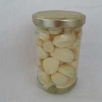 ترشی سیر صدفی250گرمی