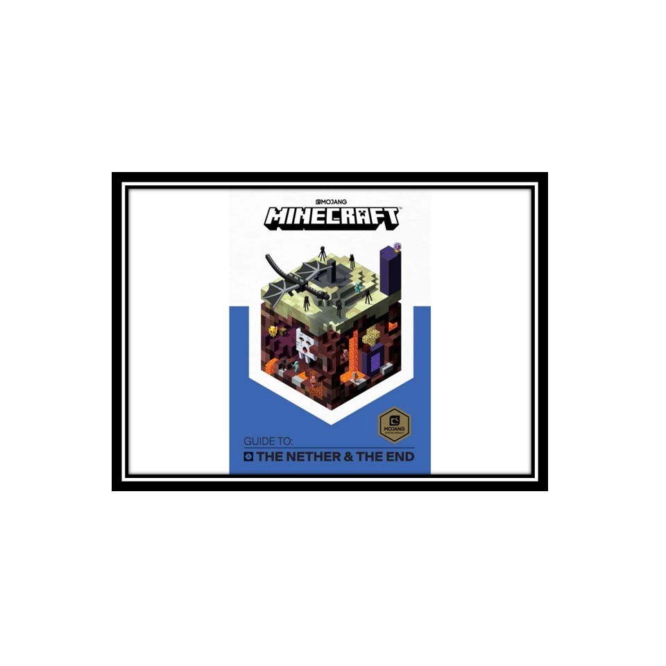 کتاب Guide to the Nether  the End 