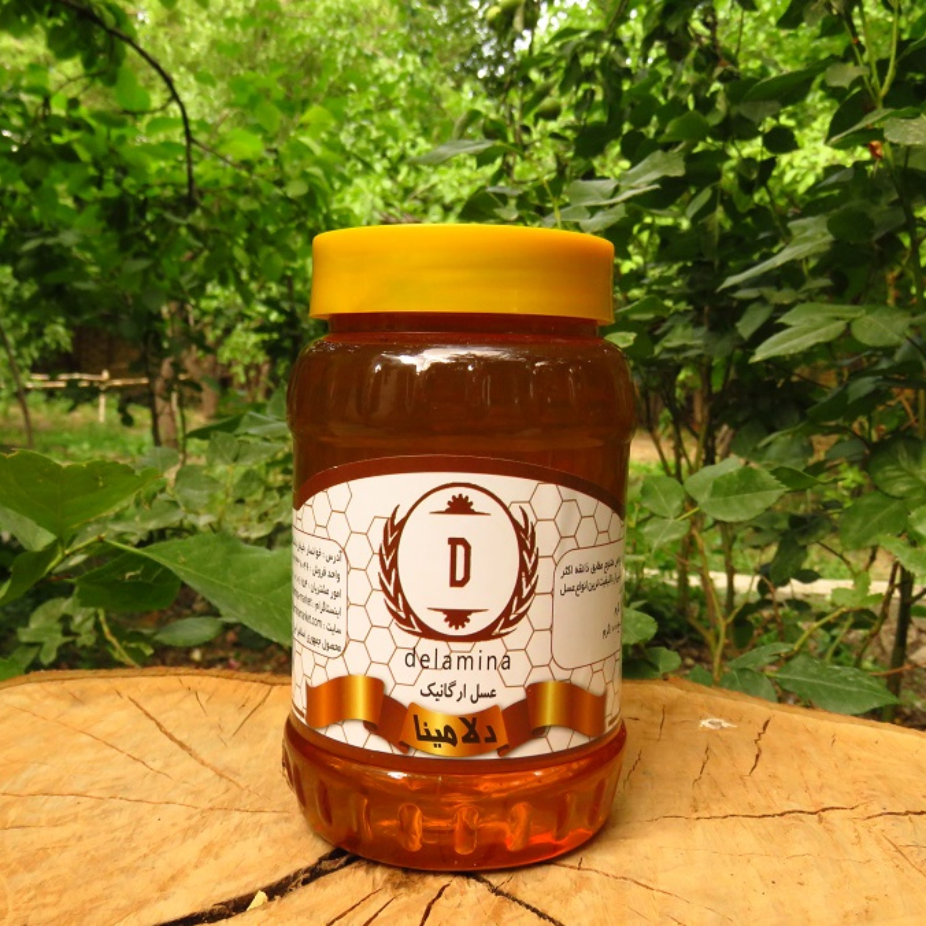 عسل مرکبات خوانسار پک 2 عددی