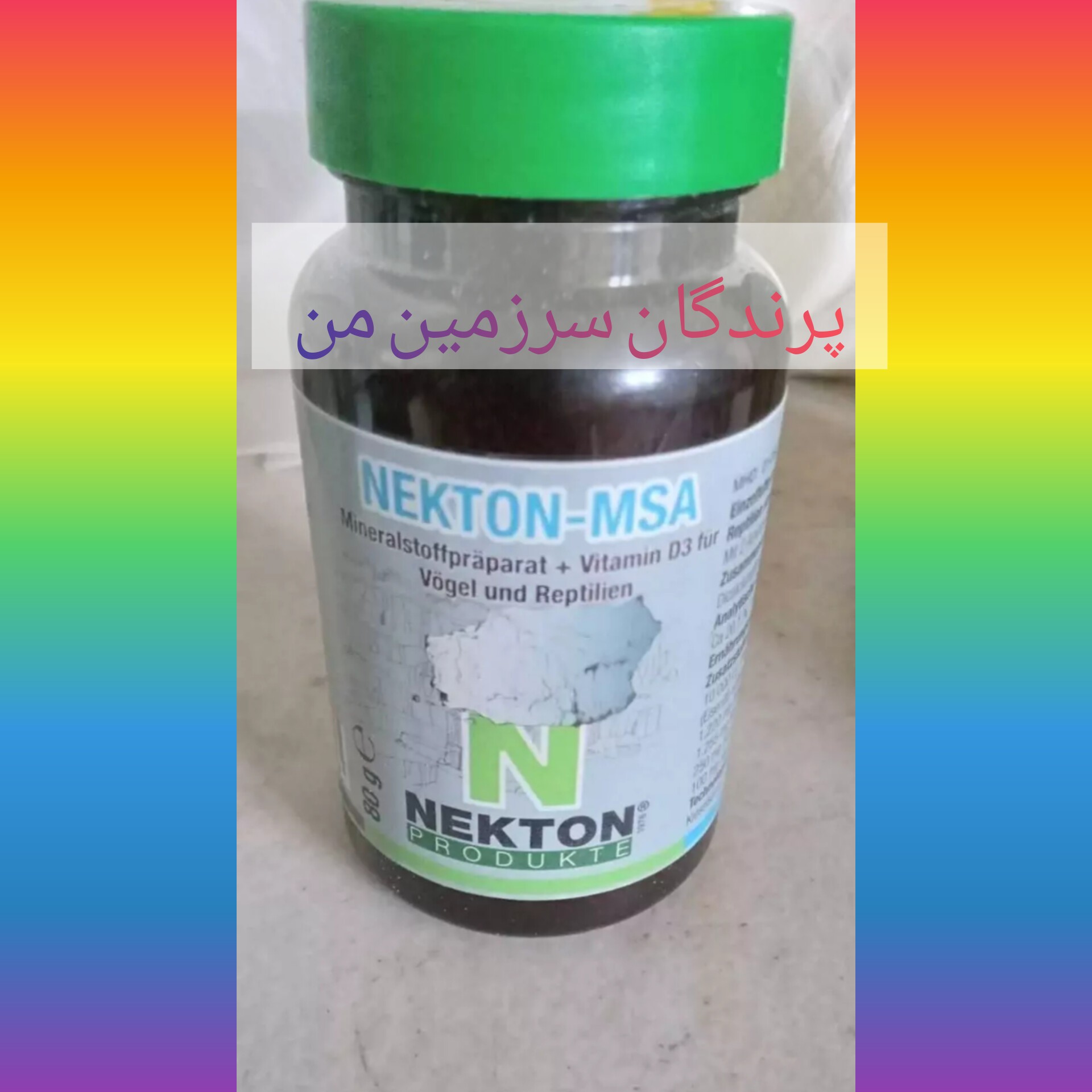 نکتون ام اس آپرندگان نکتون 10گرمی آلمان
