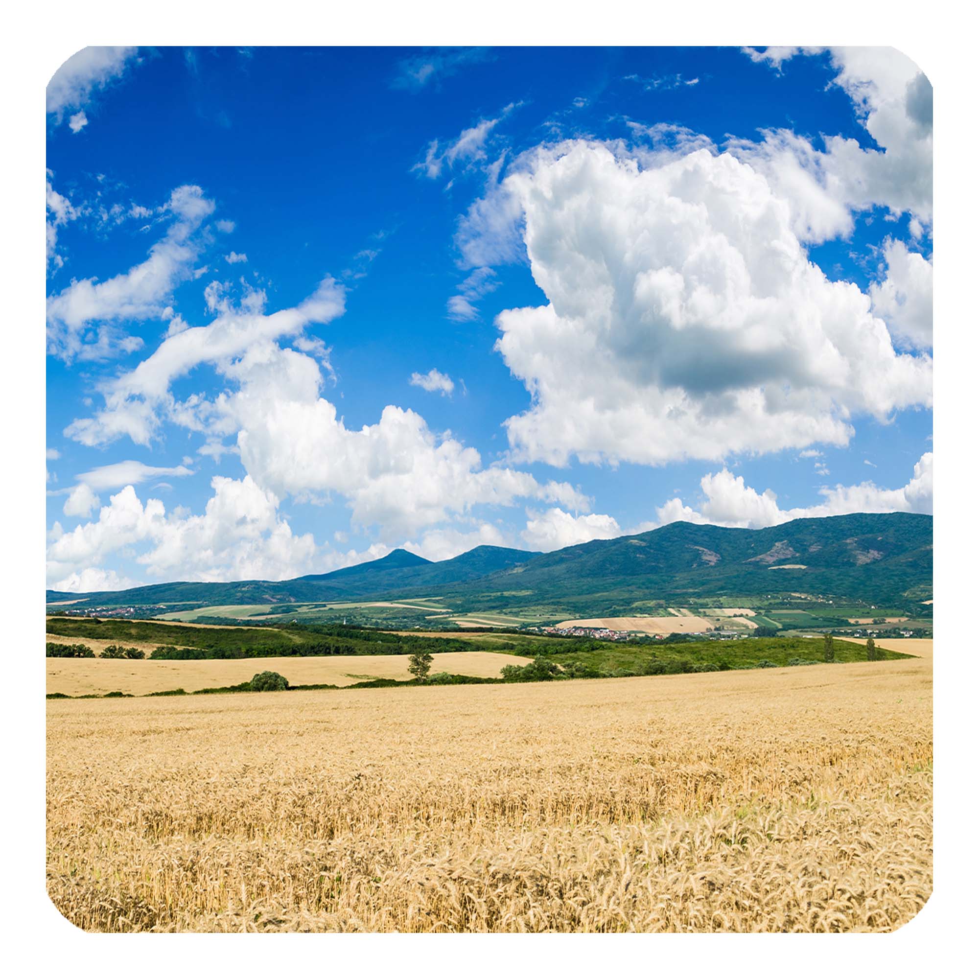 مگنت طرح مزرعه کد w3