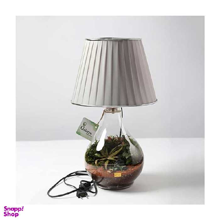 آباژور مدل تراریوم طبیعی گلوریا کد 00۱