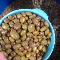 زیتون طارم شکسته سنتی تلخ