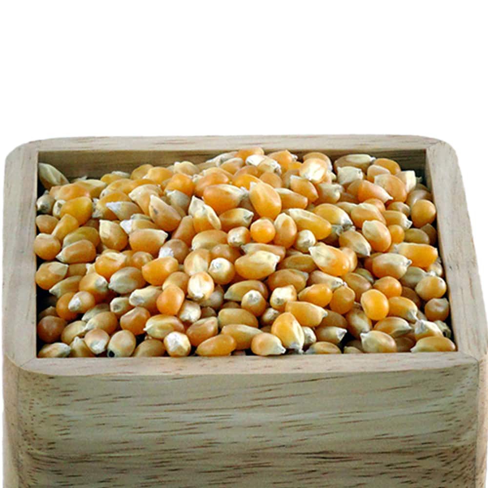 ذرت درجه یک اعلا