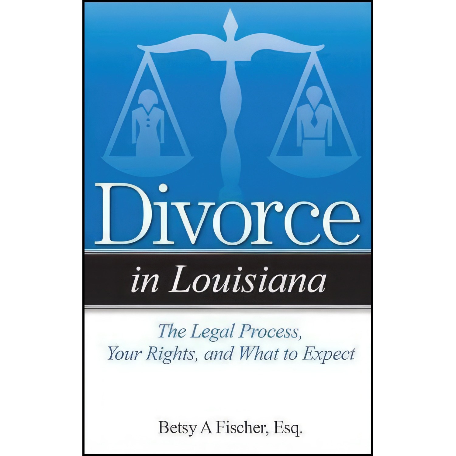 کتاب زبان اصلی Divorce in Louisiana اثر Betsy A Fischer Esq