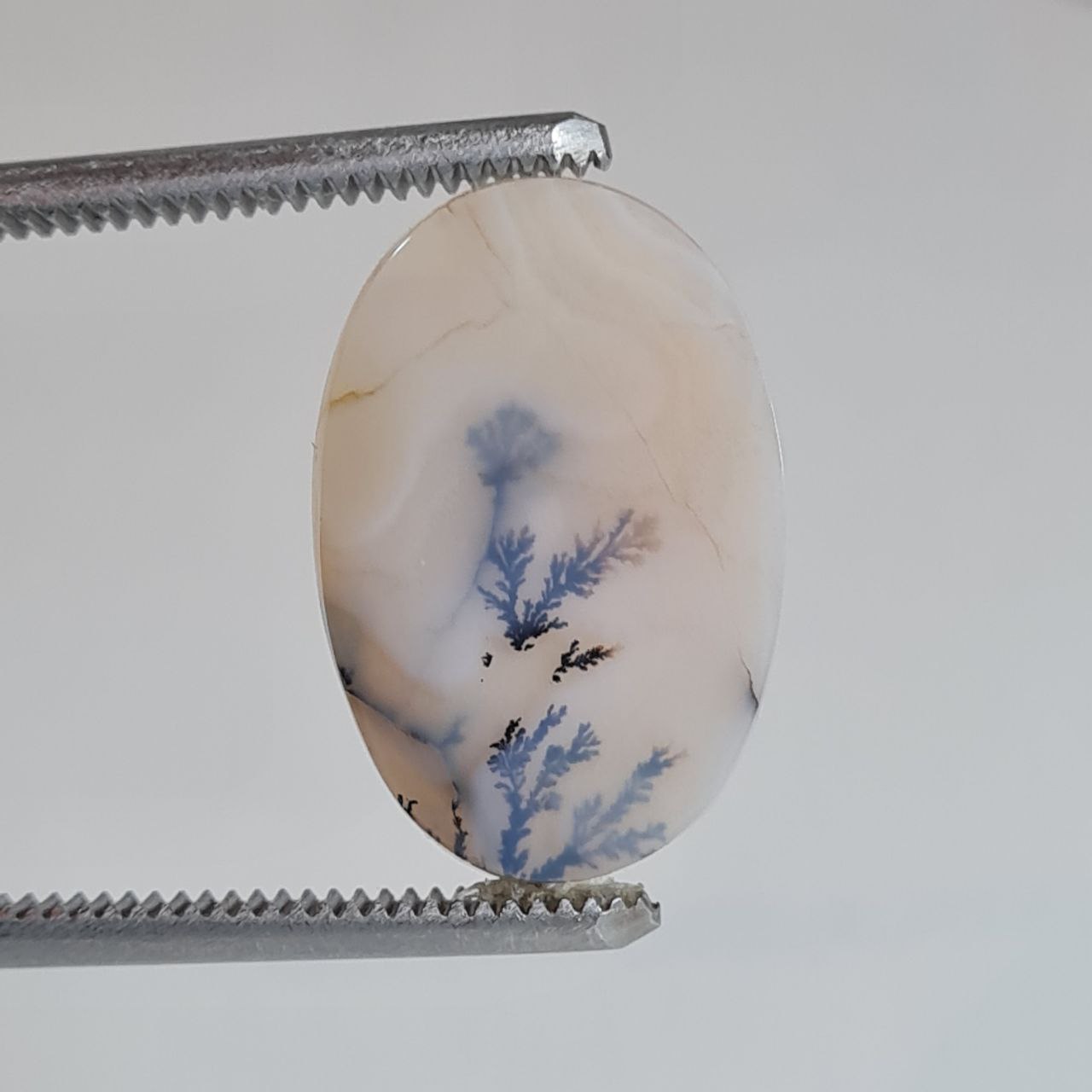 عقیق شجر بیضی 5860