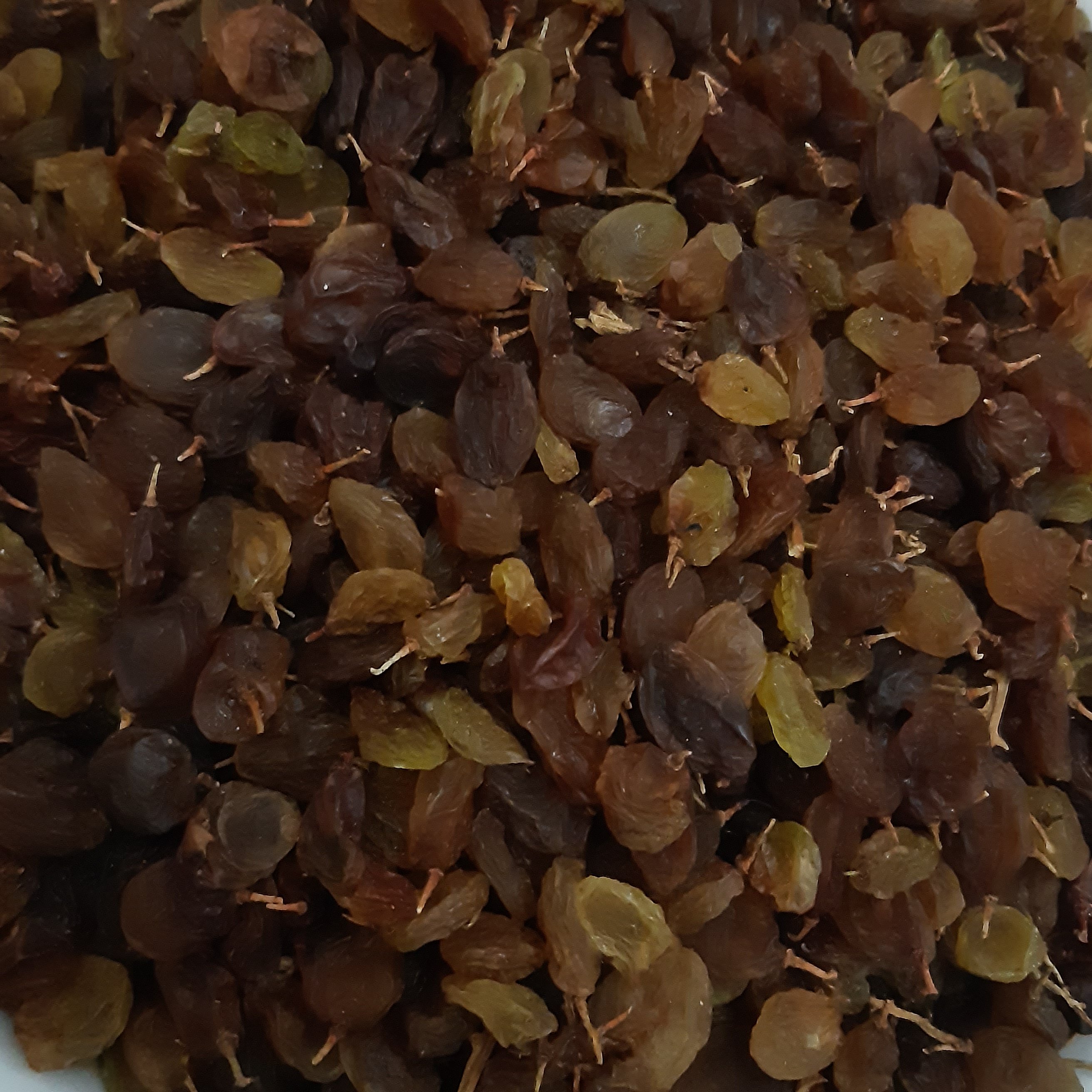 کشمش افتاب خشک اعلا