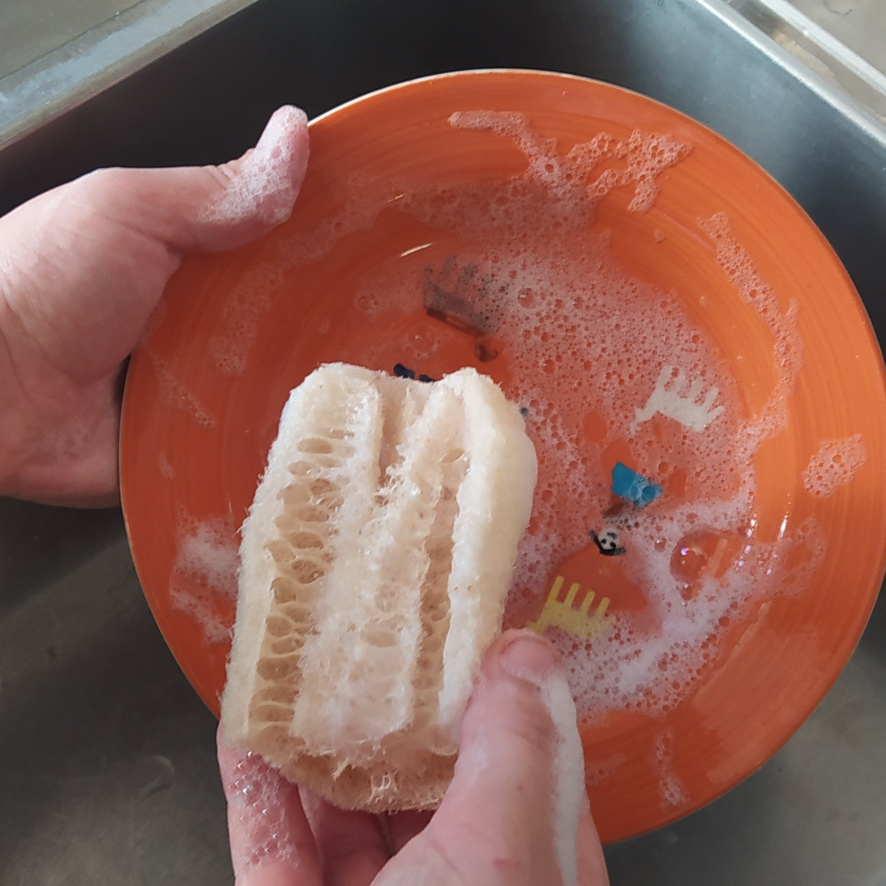 اسکاج کاملا گیاهی و کمپوست پذیر لوفا ده عدد ارسال به سراسر ایران