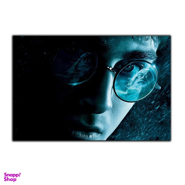 تابلو شاسی بکلیت طرح فیلم سینمایی هری پاتر مدل SH-S3947
