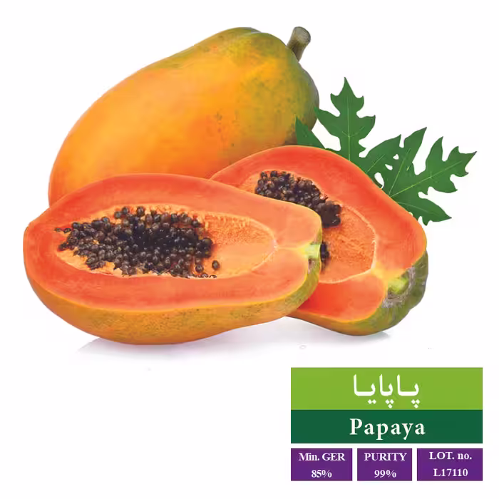 بذر پاپایا - بذر طلایی رویان