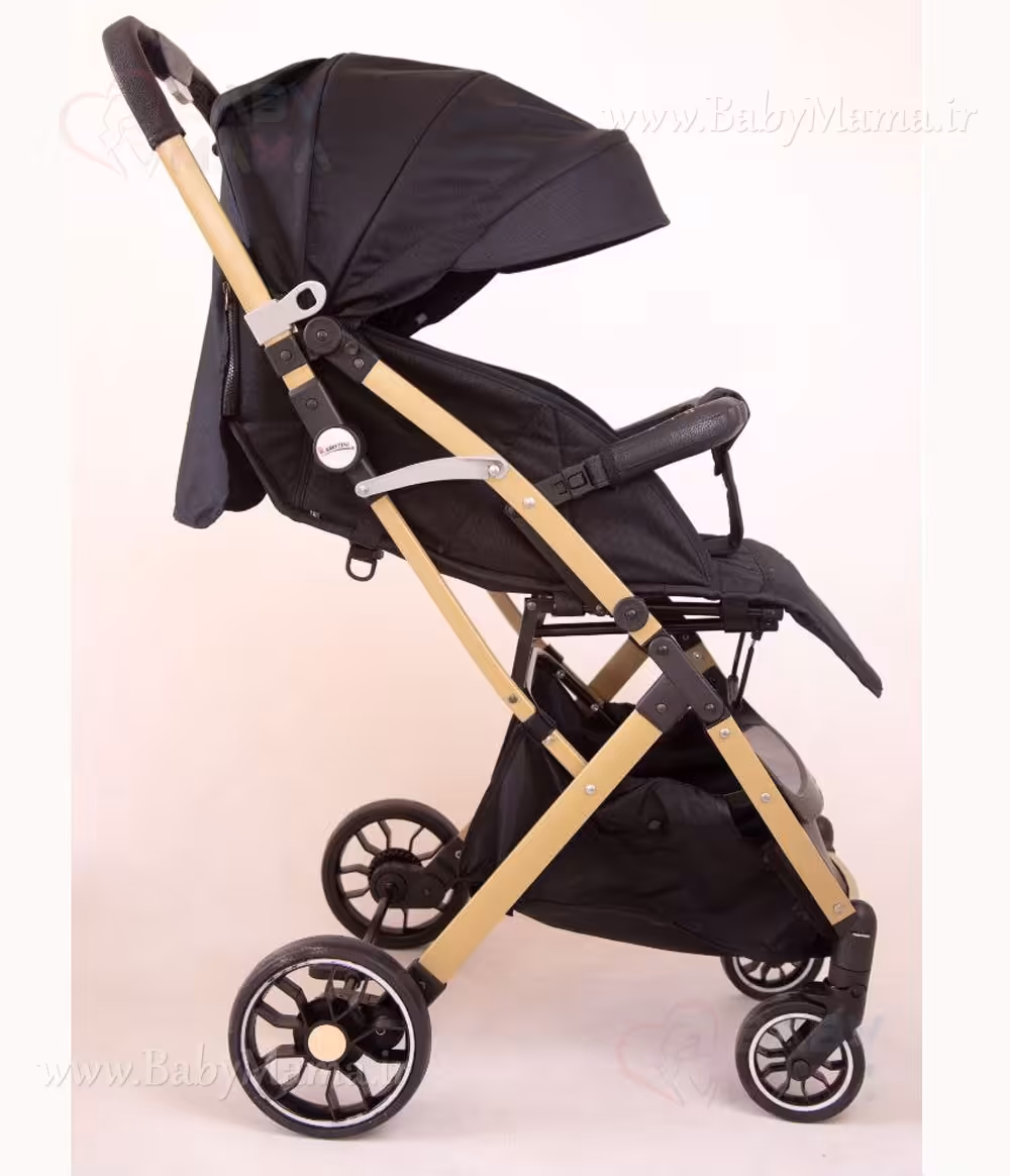 کالسکه مسافرتی ریچ کیدز (Baby 5)