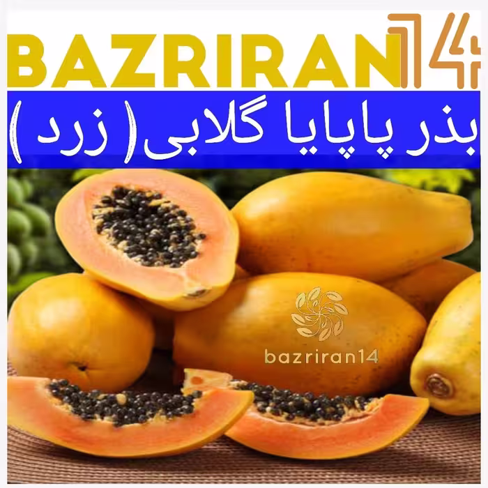 بذر گیاه پاپایا گلابی