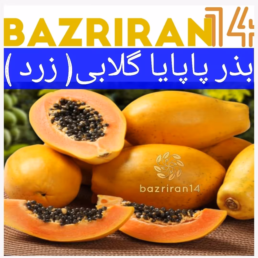 بذر گیاه پاپایا گلابی