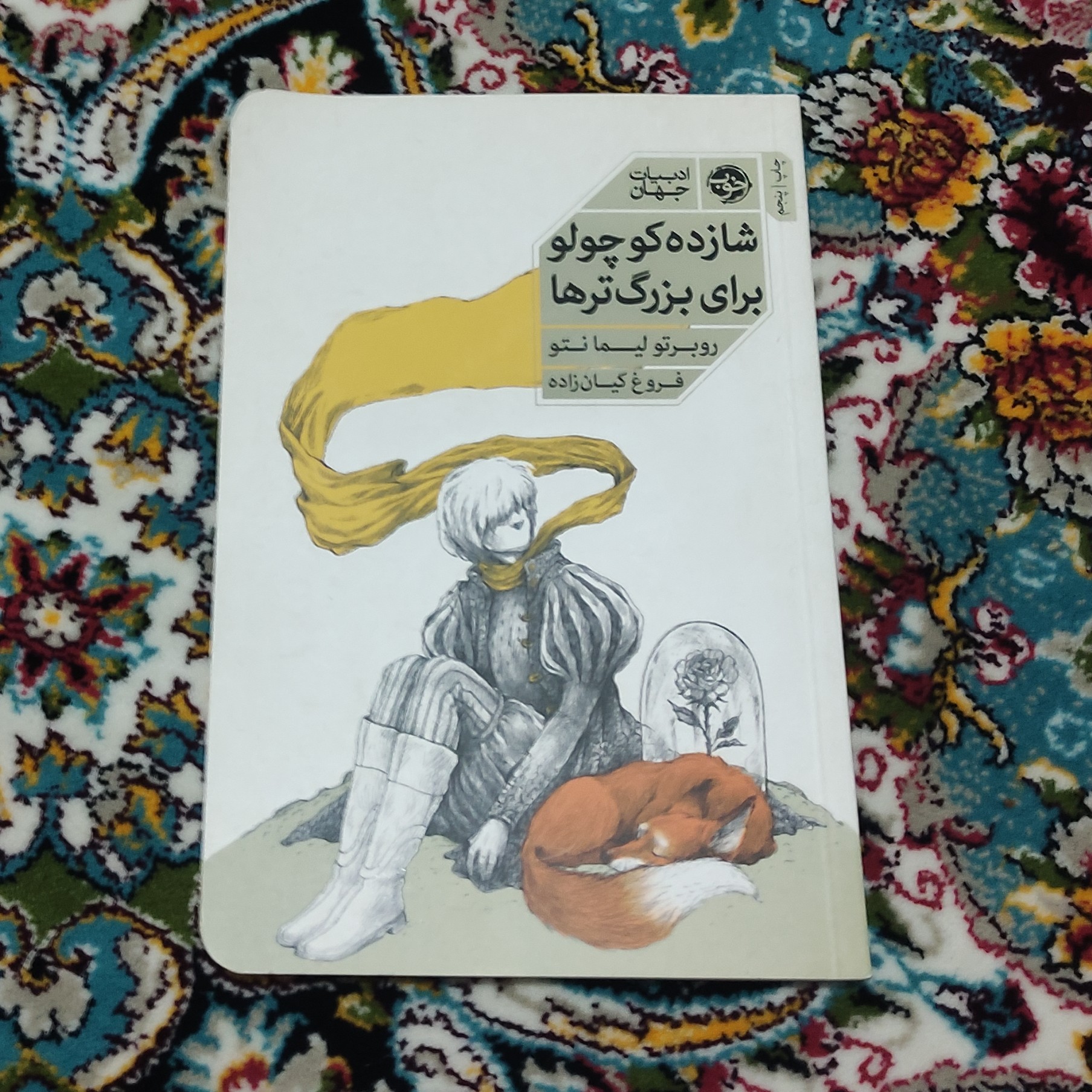 شازده کوچولو برای بزرگترها