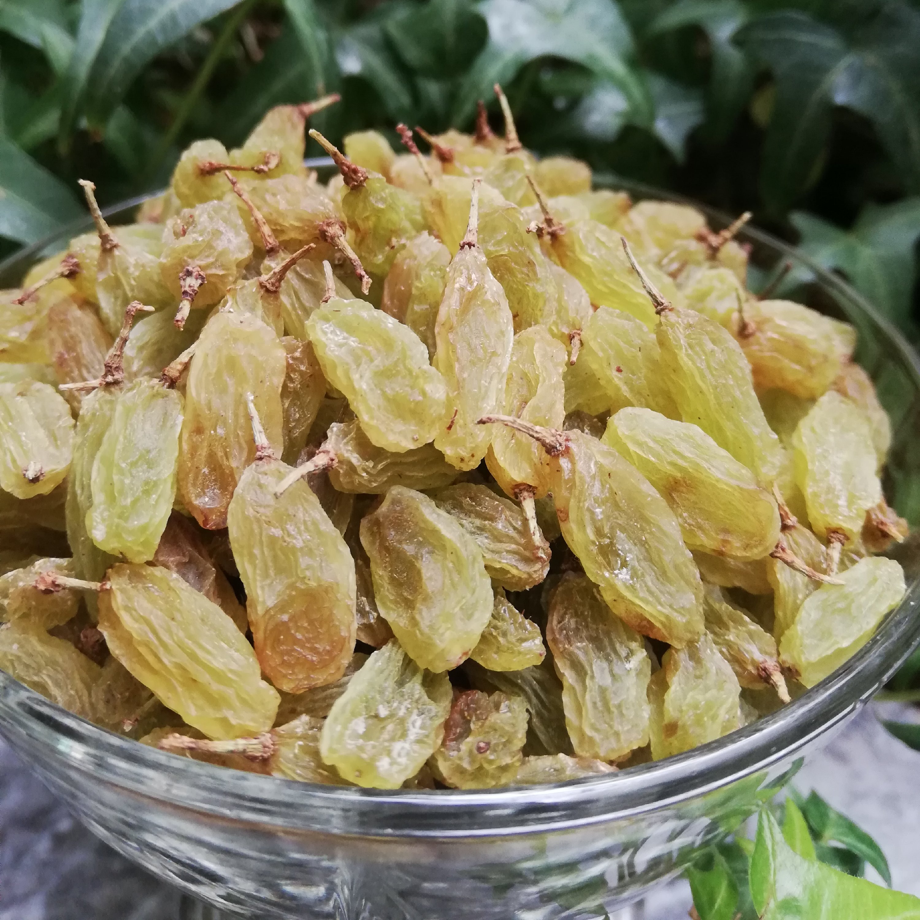 کشمش سبز مرغوب و درجه یک(1 کیلویی ارسال رایگان)