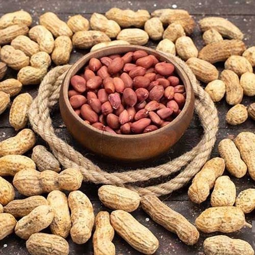 بادام زمینی درجه 1 -آستانه اشرفیه-