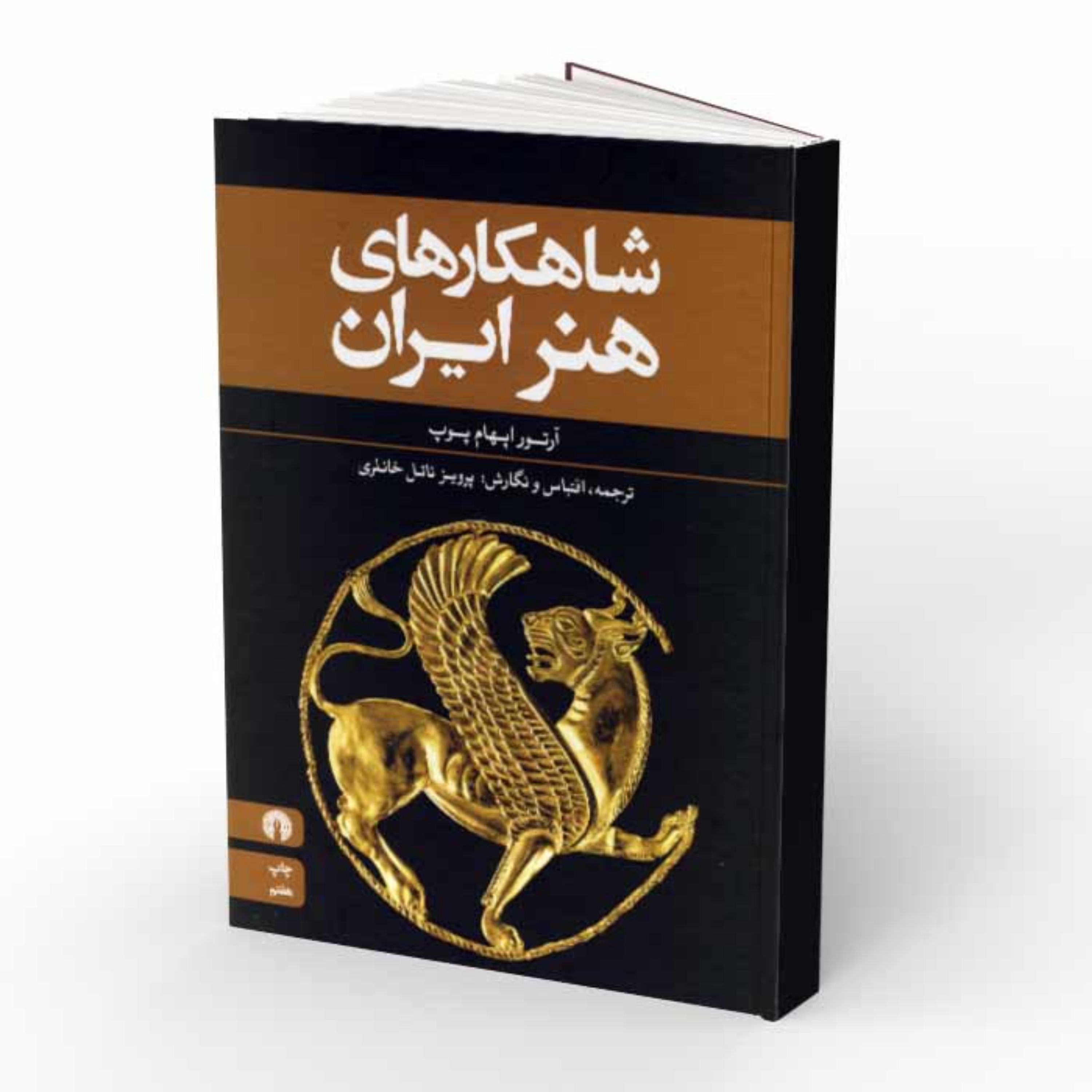کتاب شاهکارهای هنر ایران