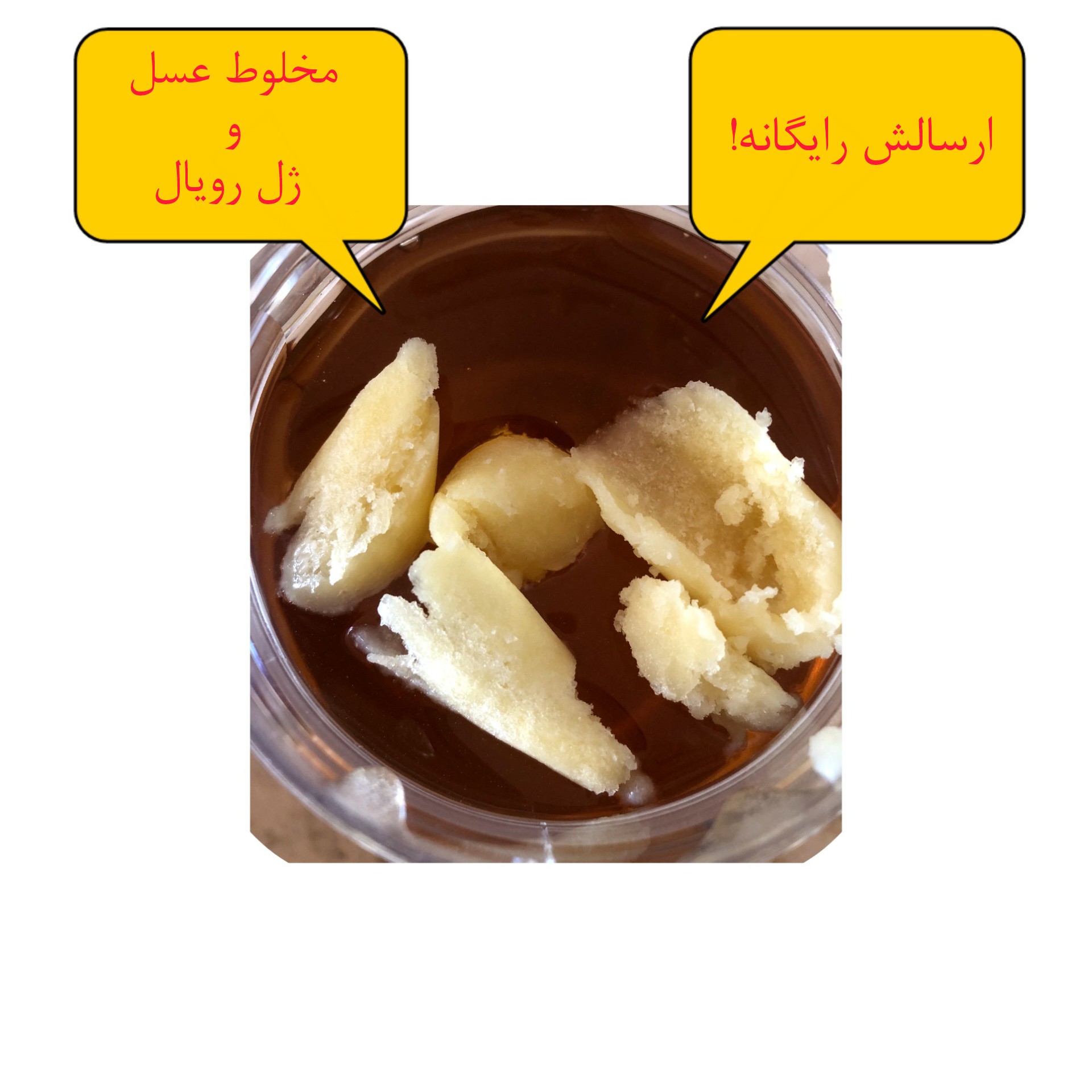 ژل رویال ملکه ایرانی مخلوط در عسل با ارسال رایگان