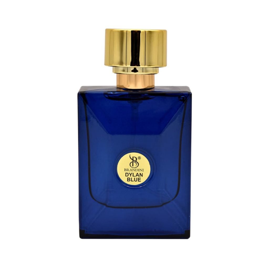 عطر ادکلن ورساچه دیلان بلو مردانه  Dylan Blue