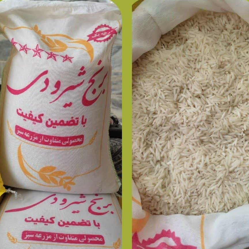 برنج شیرودی شمال