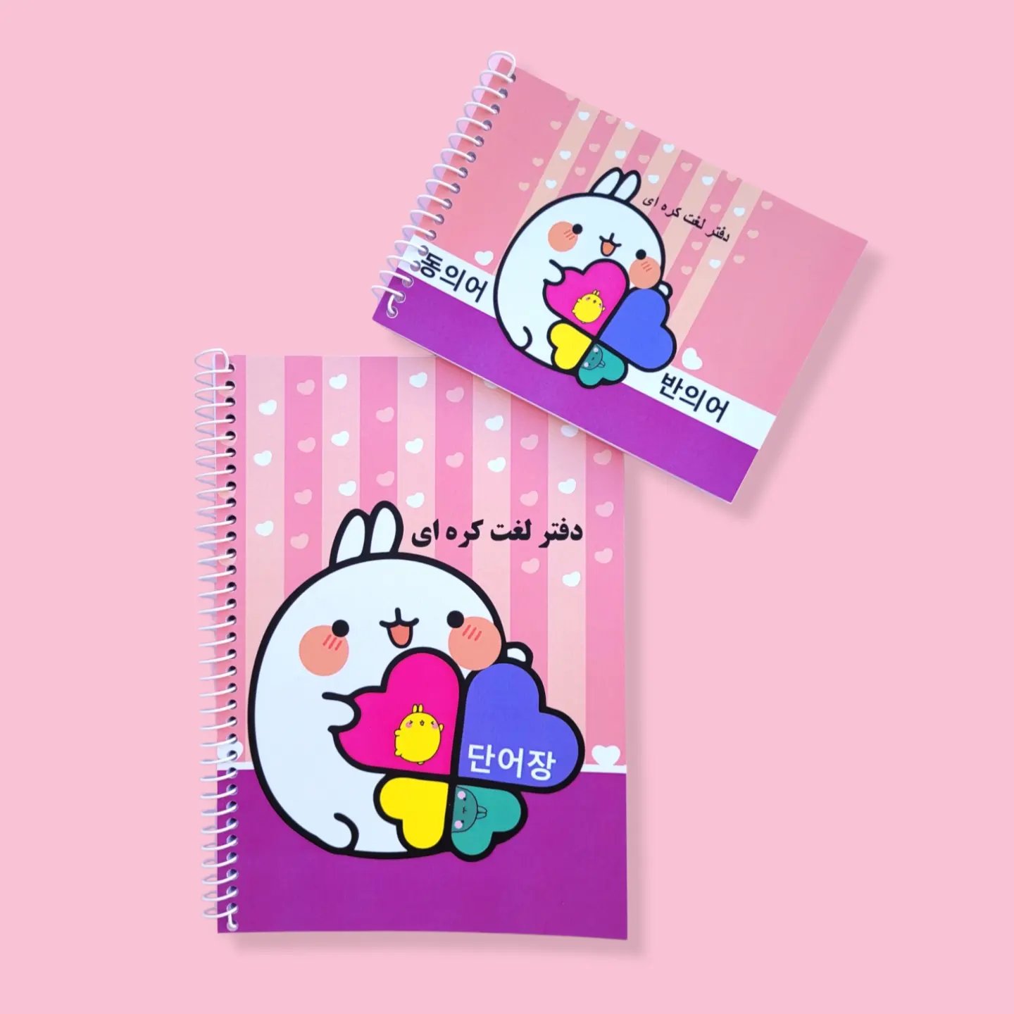 پکیج دفتر لغت کره ای