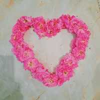 گلاب ممتاز 30 کیلو گل میعاد (نیم لیتری)