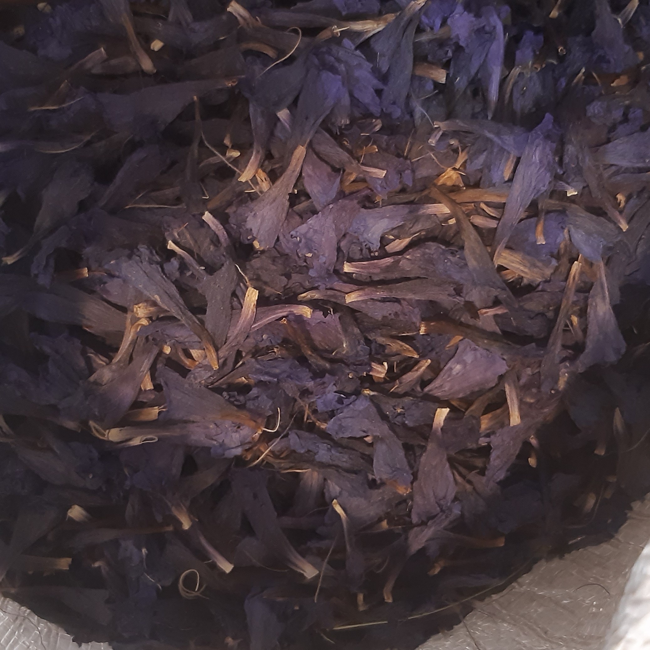 گل گاو زبان