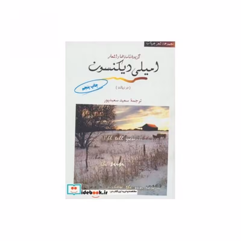 کتاب گزیده نامه ها و اشعار امیلی دیکنسون