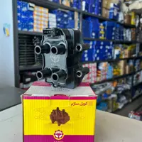 کوئل ساژم 