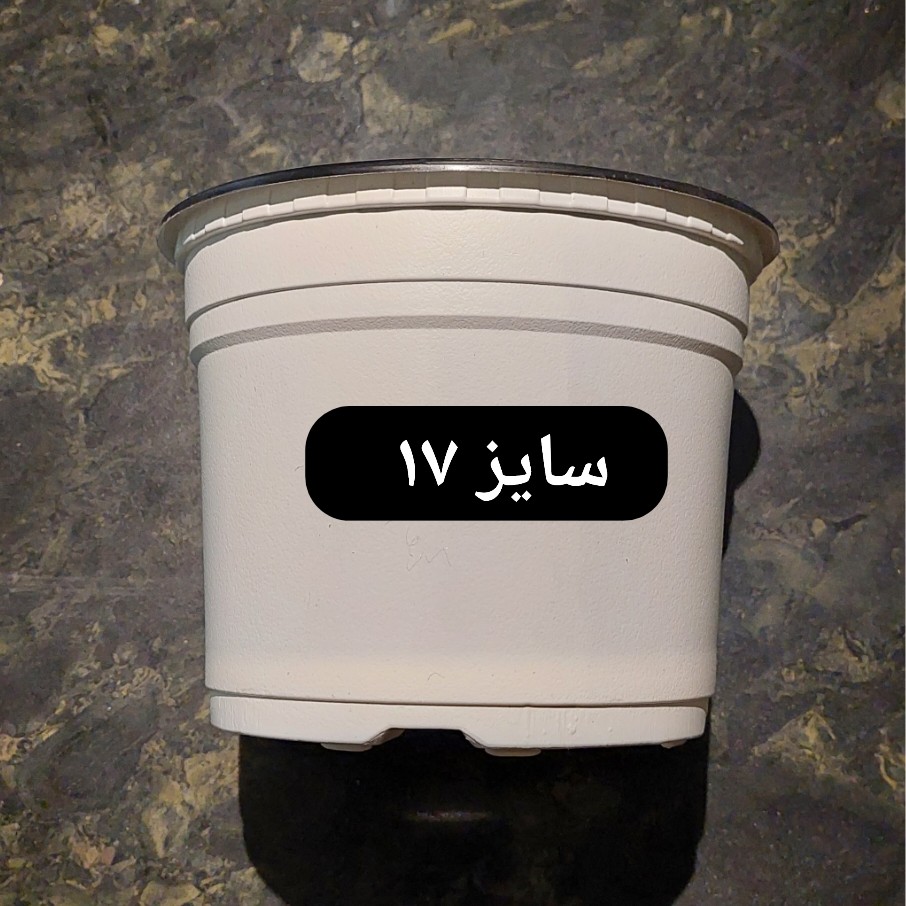 گلدان پلاستیکی ژله ایی سایز 17 (پک 50 عددی)