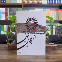 کتاب آفتاب در حجاب سید مهدی شجاعی انتشارات کتاب نیستان