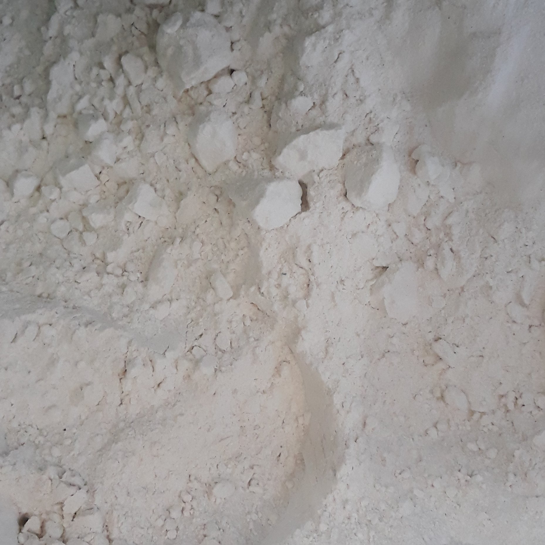 پودر سیر 100گرمی