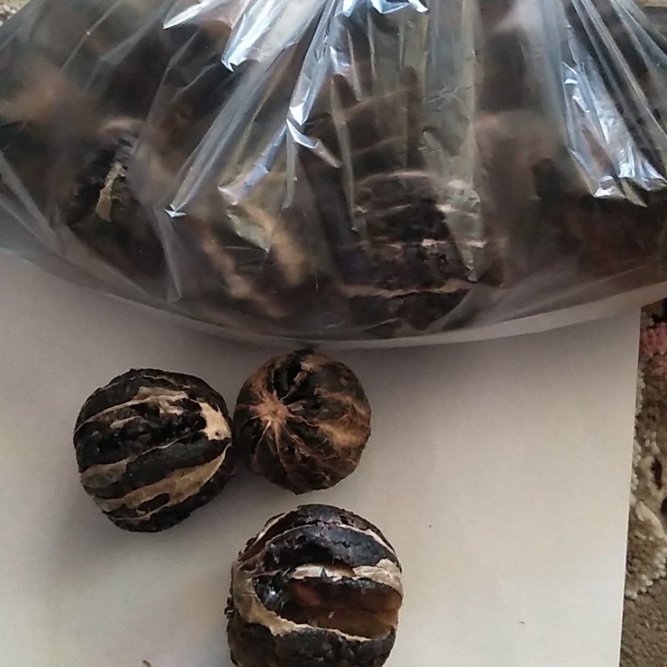 لیمو ببری و لیمو امانی  کیلویی و 100گرمی 