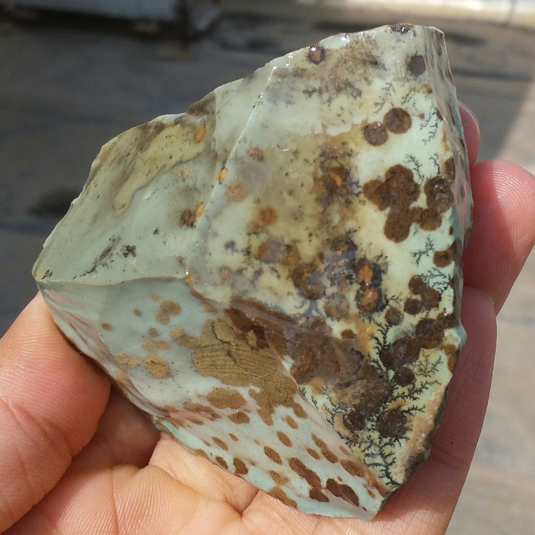 سنگ راف وارداتی جاسپر اقیانوسی شجردار خالخالی 100 در 100 طبیعی شاهکار خلقت بی نظیر
با قابلیت ساخت چند نگین قیمتی کد 9647