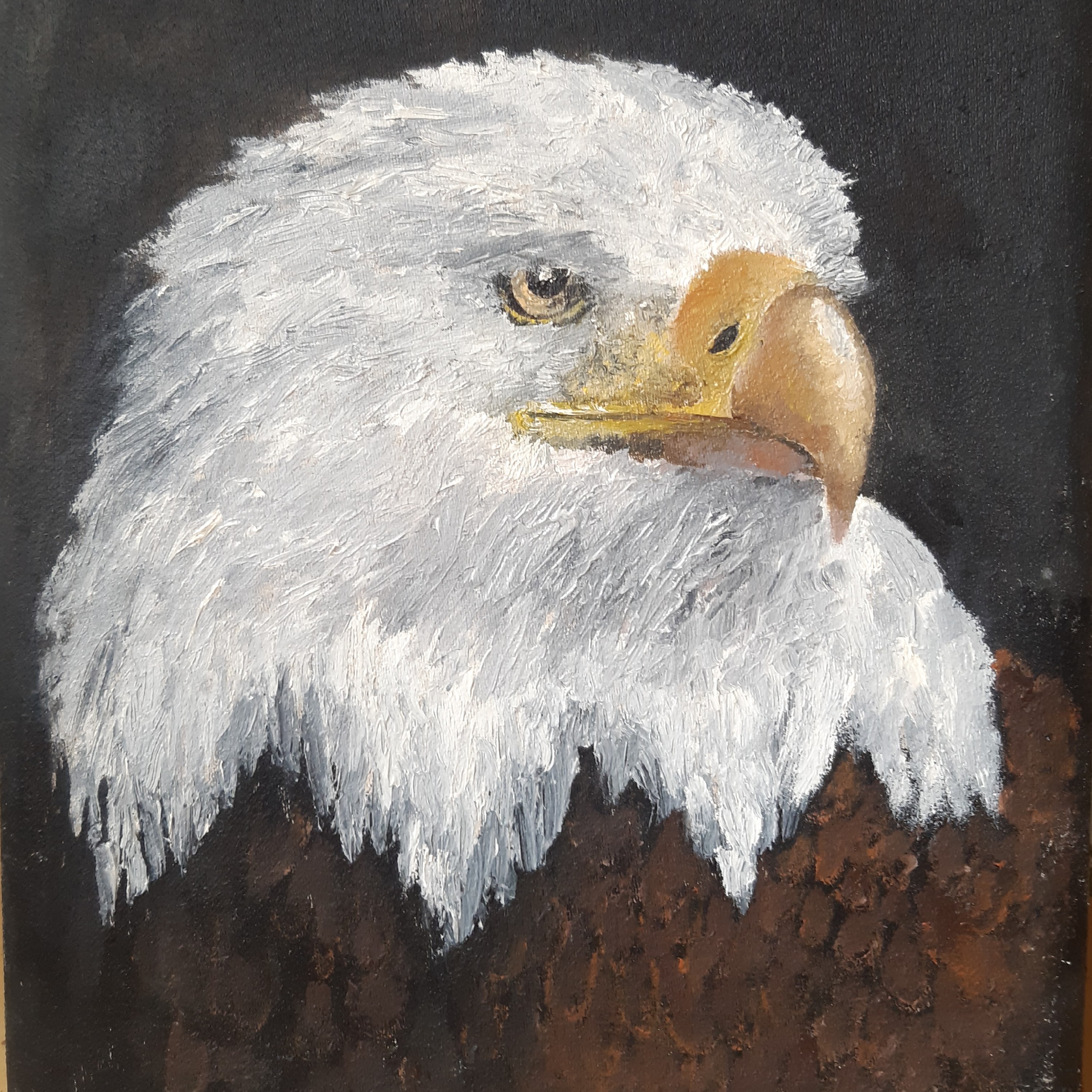 تابلو نقاشی رنگ و روغن روی بوم با موضوع عقاب بازمینه مشکی