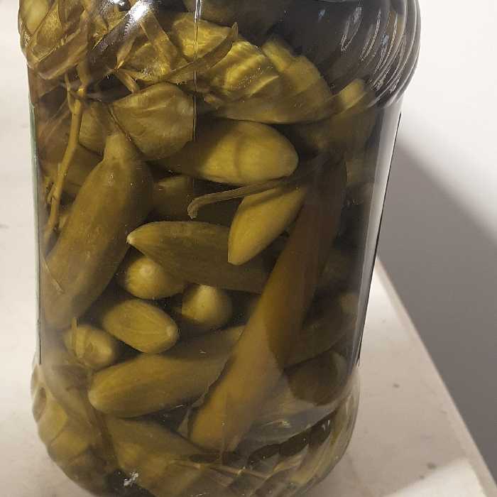 خیارشور  ویژه (تازه تولید) شمیسا 680 گرمی